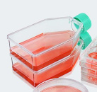 Флаконы культуральные 3DSphearo 75 см2, с ультра низкой адгезией, вент. крышка