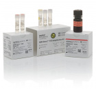 Набор NGM Detect PCR Amplification Kit