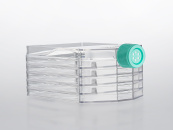 Флаконы культуральные 3-слойные, TC treated, невентилируемая крышка, 2 шт/уп