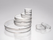 Чашки Петри для клеточных культур, 90 мм, обработ. поверхность, стерильные