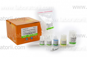 Набор для выделения плазмидной ДНК EasyPure, c РНКазой А (10 мг/мл), 50 выделений