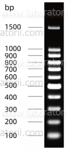 Маркер ДНК 100bp, окрашенный, фрагменты: 100, 200, 300, 400, 500, 600, 700, 800, 900, 1000, 1500 п.н., изображение 1
