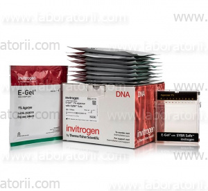 Агарозные гели E-Gel с гелем с SYBR Safe DNA Gel Stain, 1%