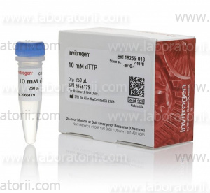 дТТФ (dTTP, дезокситимидин трифосфат), 10мМ