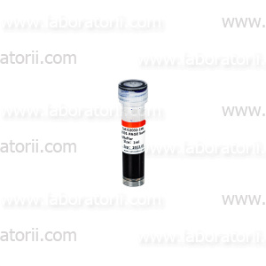 Буфер для нанесения на гель с бромфеноловым синим, невосстанавливающий, без DTT, 2-кратный, 1 мл