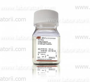 Пенициллин-стрептомицин (10000 ед / мл)