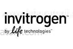 Набор CellsDirect™ для one-step qRT-PCR.