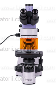 Микроскоп люминесцентный цифровой MAGUS Lum D400, изображение 9