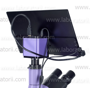 Микроскоп люминесцентный цифровой MAGUS Lum D400 LCD, изображение 21
