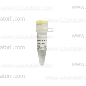 ПЦР-праймер прямой U6 (для miRNA qRT-PCR), 500 мкл
