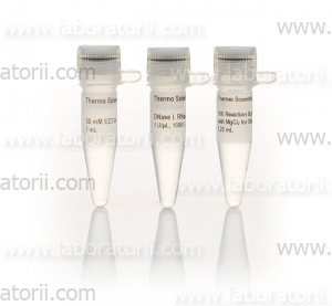 Эндонуклеаза DNase I, RNase-free (1 U/µL)