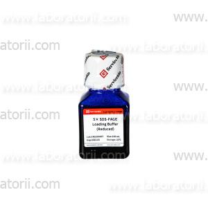 Буфер для нанесения на гель с бромфеноловым синим, восстанавливающий с DTT, 5-кратный