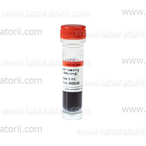 Буфер для нанесения на гель с бромфеноловым синим для SDS-PAGE, без запаха, восстанавливающий, 2-кратный, 1 мл