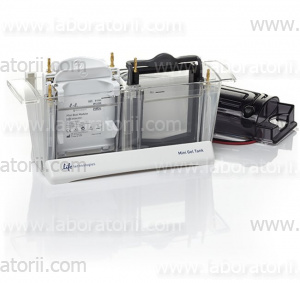 Камера для электрофореза Mini Gel Tank и блок для вестерн - блоттинга Mini Blot Module, изображение 1