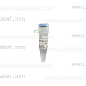 ПЦР-праймер обратный универсальный  (для miRNA qRT-PCR), 500 мкл
