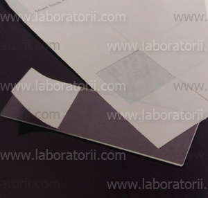 Наклейки белые для предметных стёкол, 23 х 23 мм