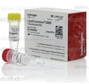 Липофектамин (lipofectamine) 3000 Трансфекционный реагент