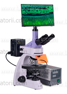 Микроскоп люминесцентный цифровой MAGUS Lum D400 LCD, изображение 3