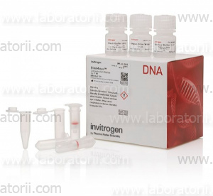 Набор PureLink Genomic Plant DNA Purification Kit, изображение 1
