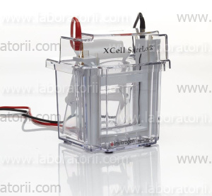 Камера XCell SureLock