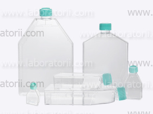 Флакон культуральный (Tissue culture flasks), 300 см², вентилируемая крышка, обработ. поверхн., 3 шт/уп