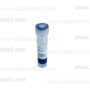 Буфер для нанесения ДНК на гель, 6-кратный, с бромфеноловым синим и глицерином, 500 мкл