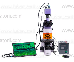 Микроскоп люминесцентный цифровой MAGUS Lum D400 LCD, изображение 5