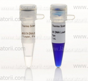 Маркер ФХ174 ДНК/BsuRI (HaeIII)
