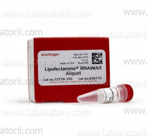 Lipofectamine RNAiMAX
