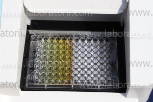 Микропланшетный ридер Diatek DR-200B, изображение 3