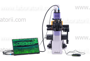 Микроскоп люминесцентный инвертированный цифровой MAGUS Lum VD500L LCD, изображение 5