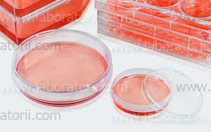 Чашки культуральные 3DSphearo 60 мм с ультра низкой адгезией, 16 x 5 шт/кор