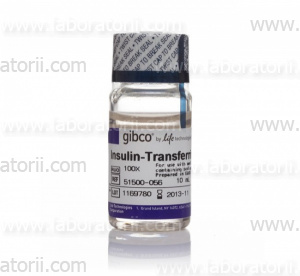 Инсулин-трансферрин-селен-этаноламин (ITS-X) (100X)
