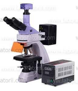 Микроскоп люминесцентный цифровой MAGUS Lum D400, изображение 5