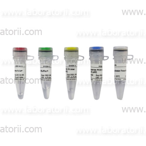 Набор для синтеза первой цепи кДНК с микроРНК, 25 реакций