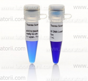 Маркер pUC19 ДНК/MspI (HpaII), 50 мкг
