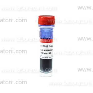 Буфер для нанесения на гель с бромфеноловым синим для PAGE без SDS, невосстанавливающий, 5-кратный, 1 мл