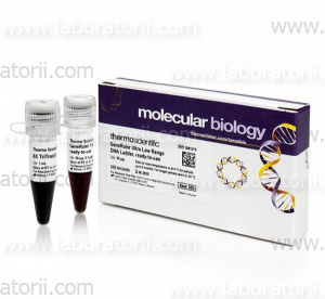 ДНК маркер GeneRuler Ultra Low Range, ready-to-use