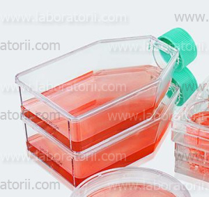 Флаконы культуральные 3DSphearo 75 см2, с ультра низкой адгезией, вент. крышка