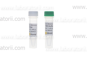 Эндонуклеаза рестрикции SmaI