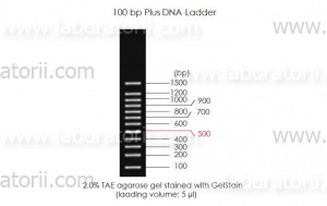 Маркер ДНК, 100 - 1000 п.о. в буфере для нанесения на гель, изображение 1