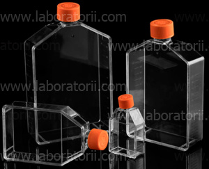Флакон для культуральных работ, объем 25 см2, невентилируемая крышка, TC-treated, стерильные, не содержит ДНКаз, РНКаз, пирогенов